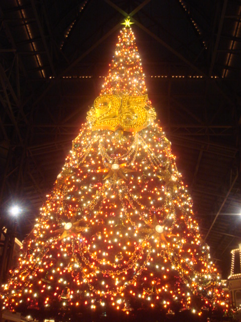 c0155011_3364225.jpg