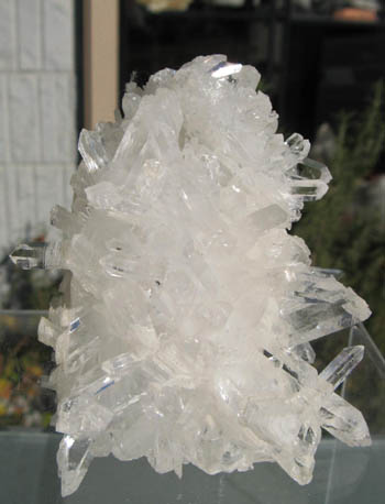 e0139012_1429104.jpg