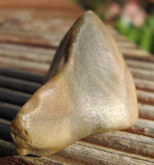 e0139012_14455942.jpg