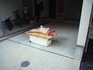b0138713_8312392.jpg