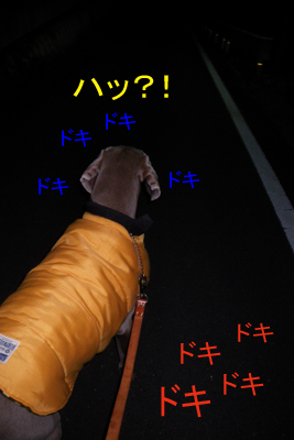 b0116115_11571577.jpg
