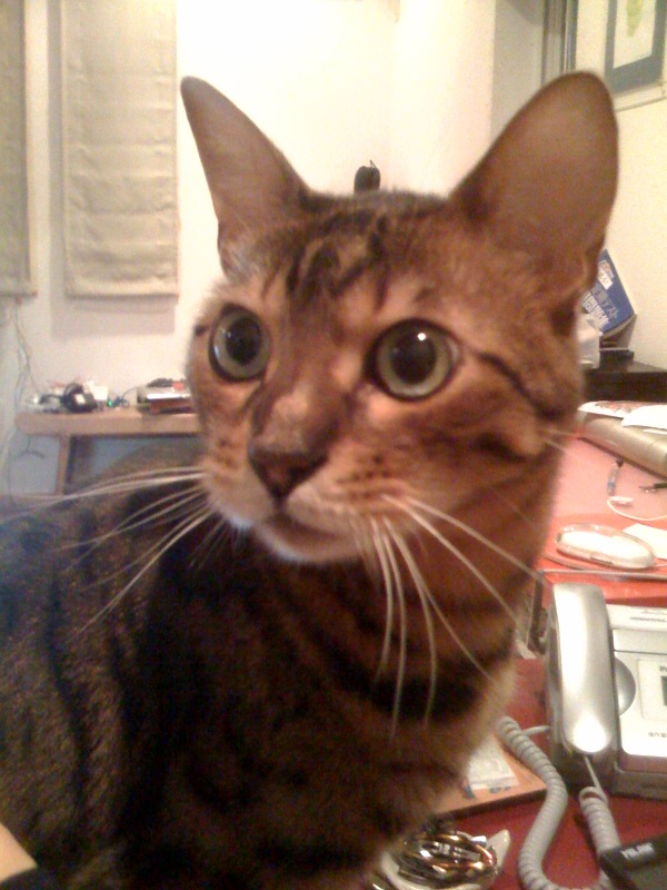 e0109817_20114573.jpg