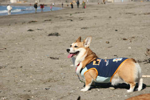 e0071225_22352682.jpg