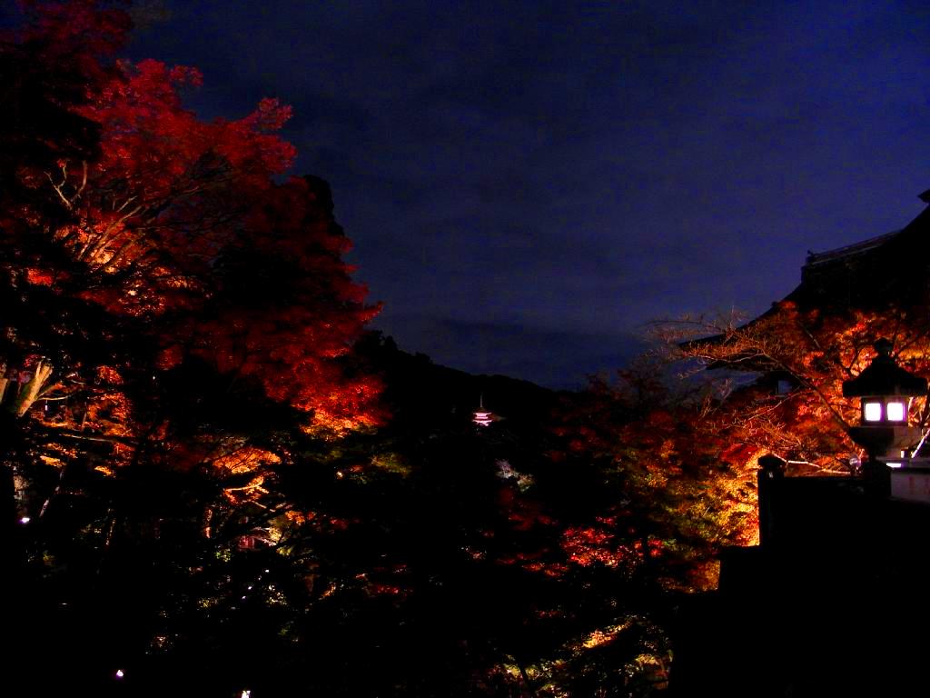 f0192226_14113040.jpg