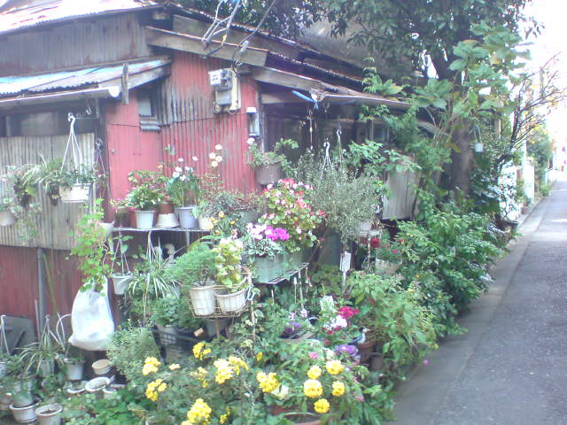 e0016828_23184835.jpg
