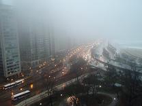 c0051529_1571986.jpg