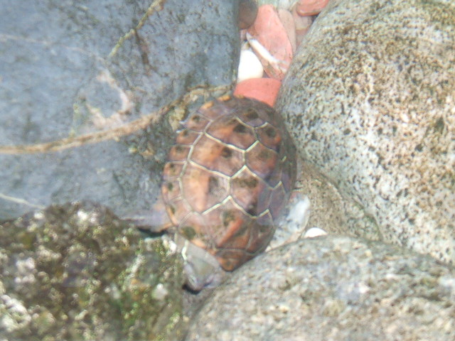 e0166032_2120428.jpg