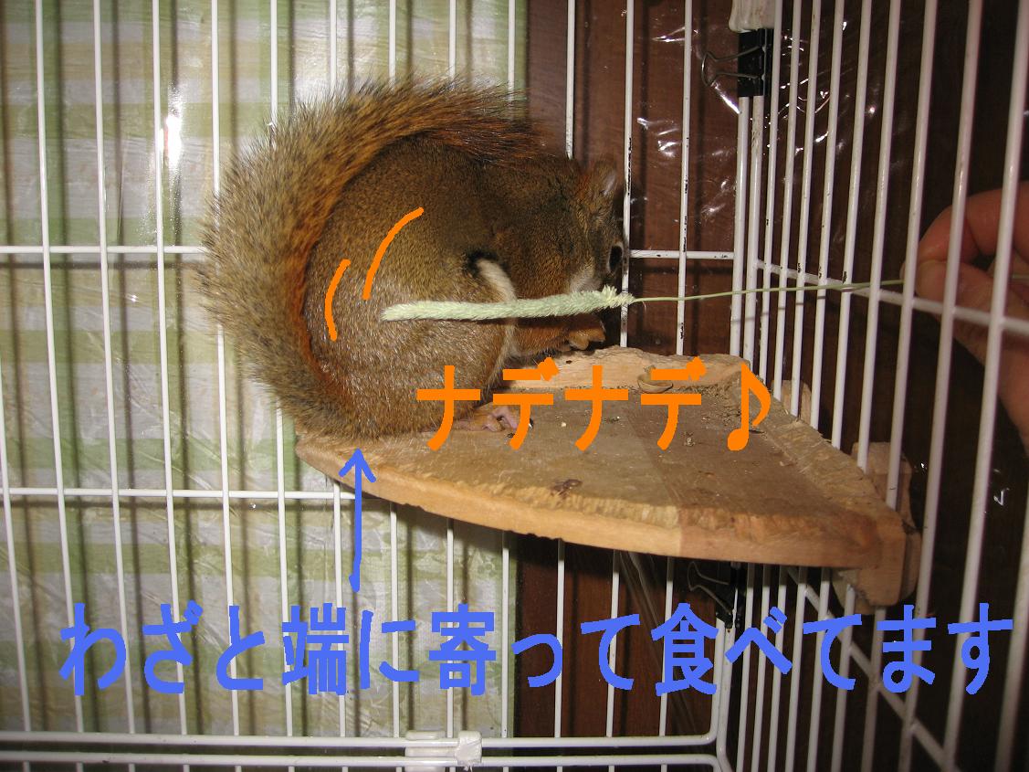 b0138734_1244691.jpg