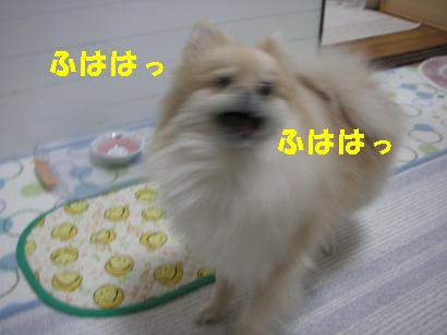 c0179136_22215287.jpg