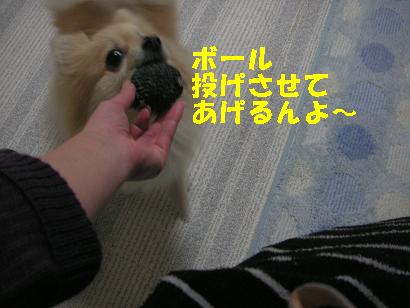 c0179136_22221239.jpg
