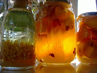 c0056437_0512841.jpg