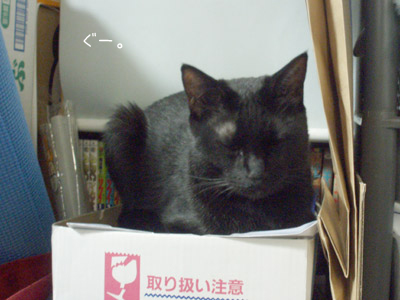 c0132438_2305228.jpg
