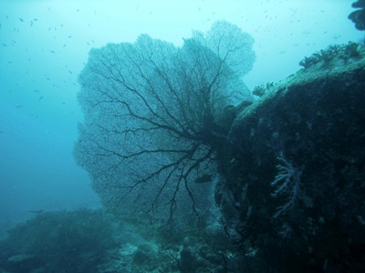 e0027447_2165064.jpg