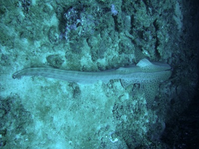 e0027447_218338.jpg