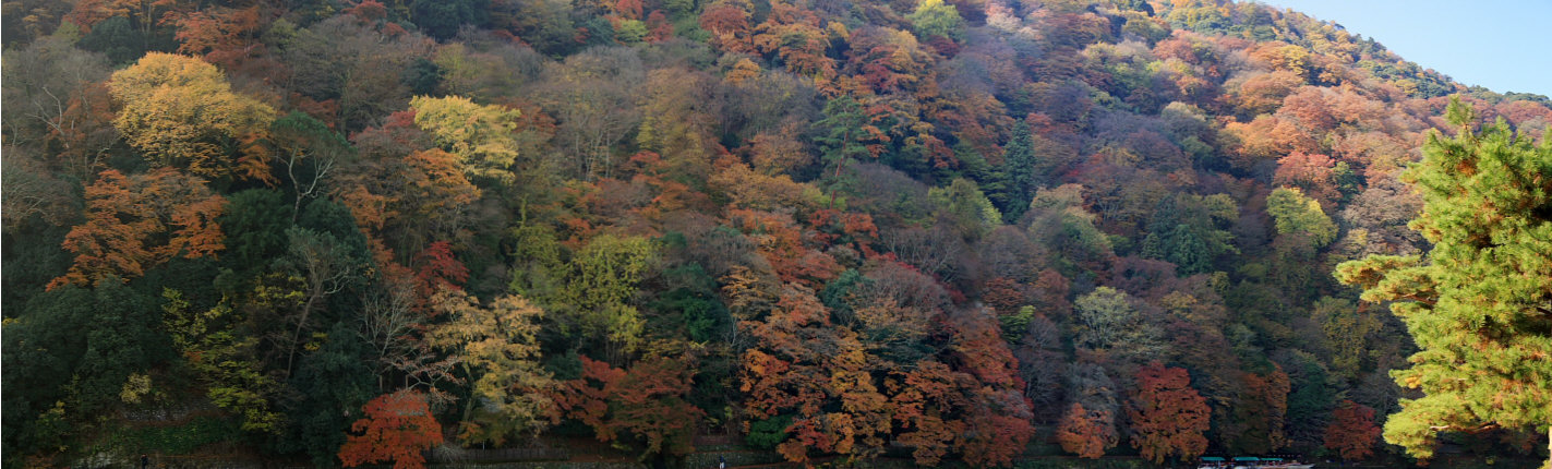 a0024250_2333583.jpg
