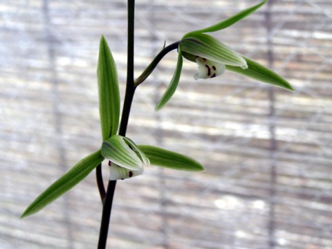 f0043750_2139884.jpg