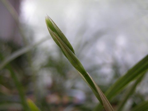 f0043750_21415643.jpg