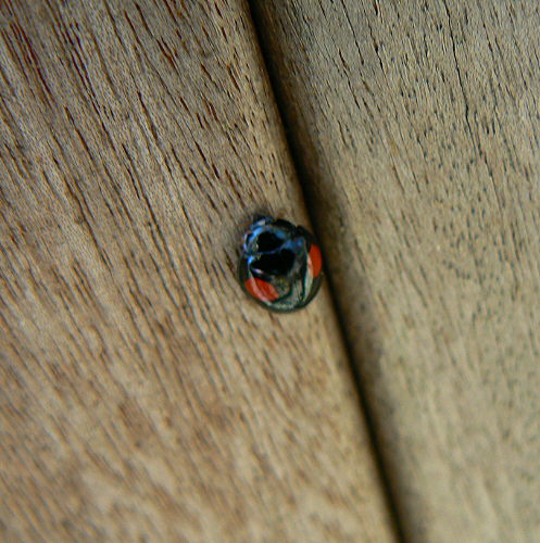 d0091754_0534679.jpg