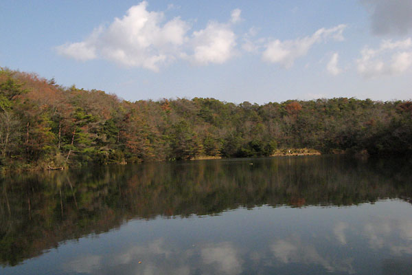 f0007956_2255729.jpg