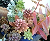 c0170858_15243656.jpg