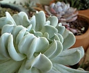 c0170858_15304874.jpg
