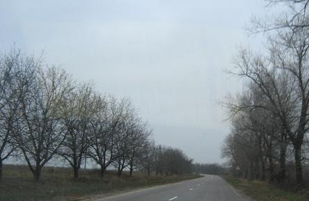 c0182858_4045.jpg