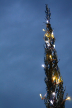 c0173559_2129213.jpg