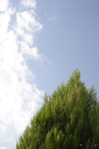 c0173559_21461188.jpg