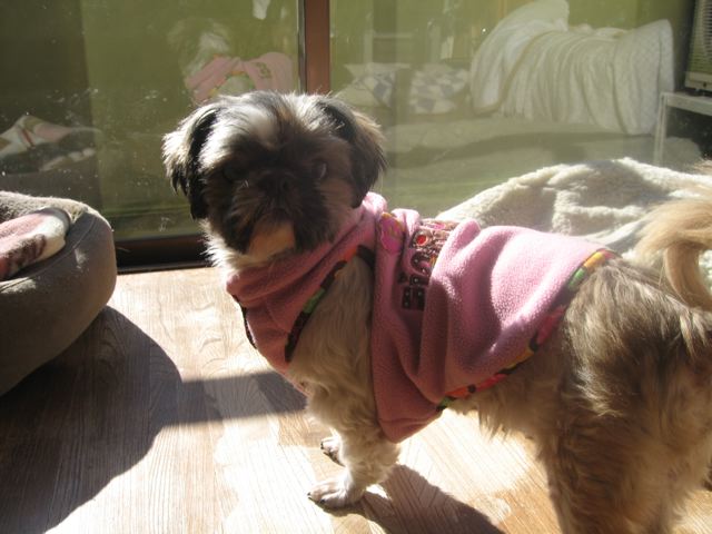 c0162160_23234034.jpg