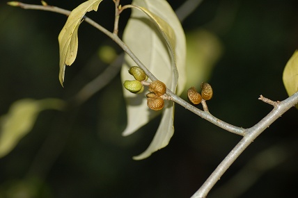 e0054067_22195069.jpg