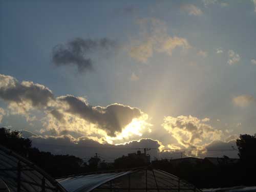 e0097770_22405585.jpg