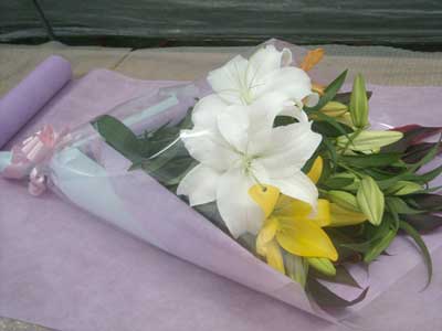 e0097770_2243487.jpg