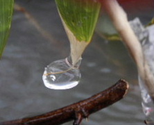 f0159270_1305653.jpg