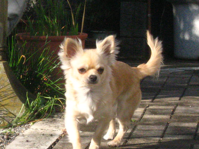 d0070473_1153368.jpg