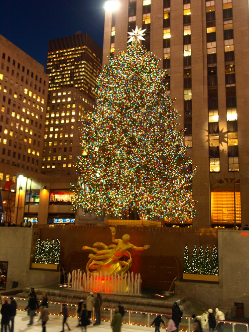 b0131774_84927.jpg