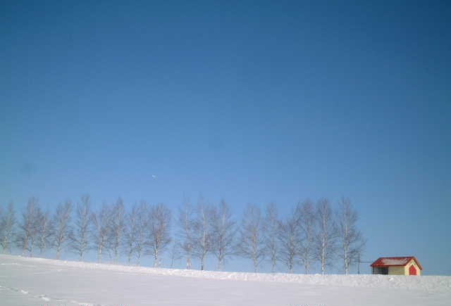 c0175679_8523836.jpg