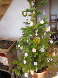 c0180384_2237468.jpg