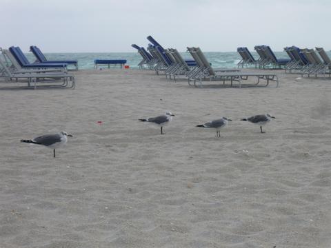 f0181488_12574753.jpg