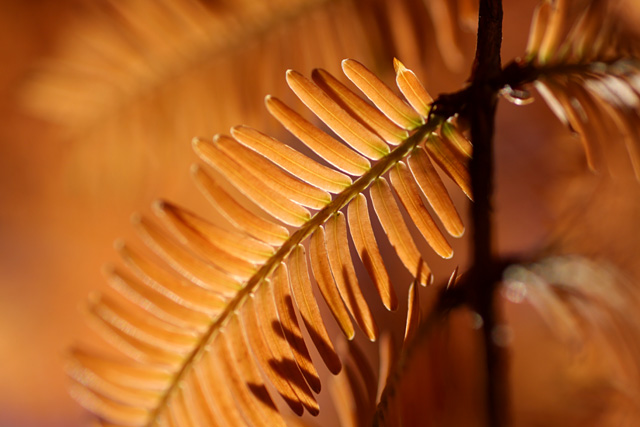 b0067789_21453914.jpg