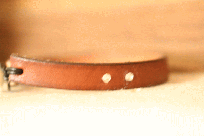 d0100192_16532371.gif