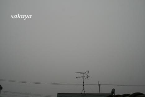 e0122194_1941677.jpg