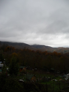 f0106597_19113915.jpg