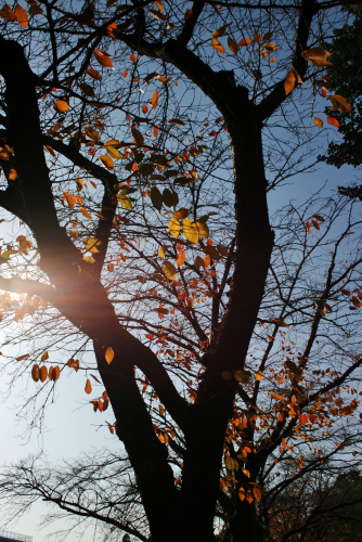 c0129498_23185353.jpg
