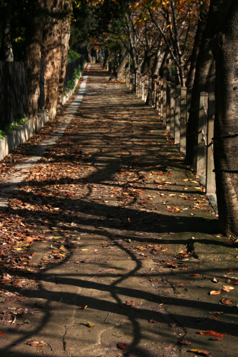 c0129498_23191218.jpg
