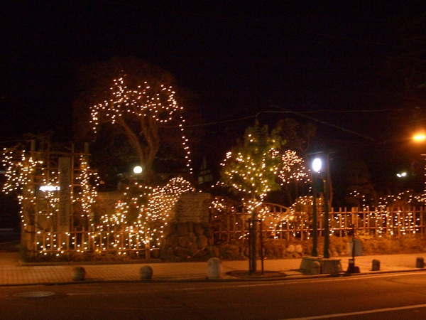 d0069498_20341279.jpg