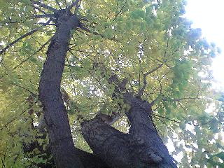 b0083902_22362437.jpg