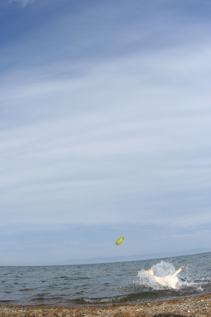 c0089005_15165140.jpg