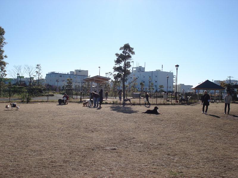 b0148106_712823.jpg
