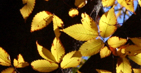 c0011009_13555331.jpg