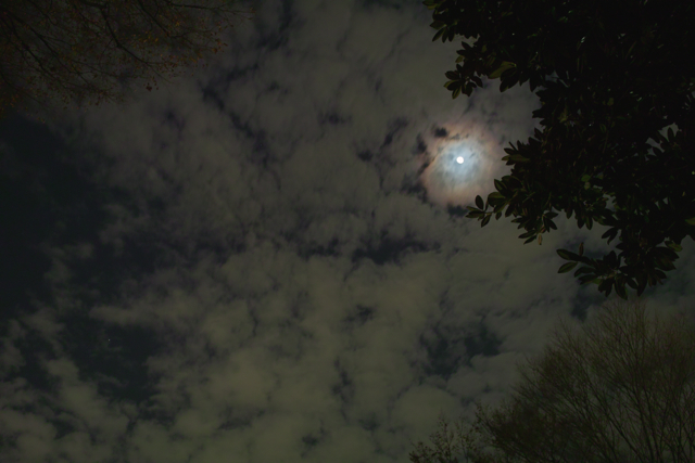 b0137311_2334857.jpg